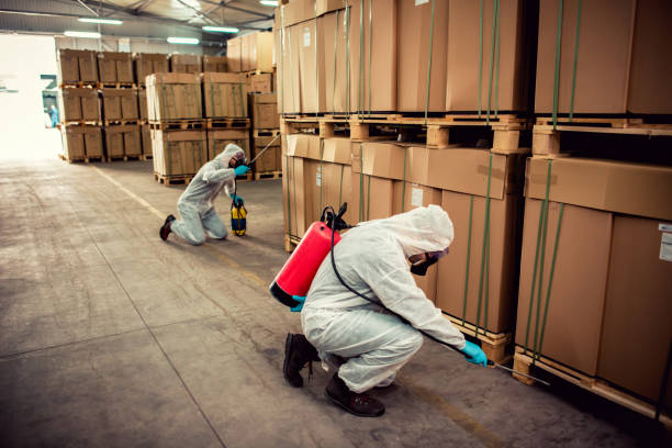 Reliable Berwyn, IL Pest Control Solutions