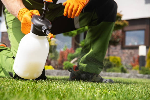 Pest Control Cost in Berwyn, IL