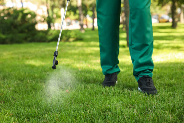 Best Residential Pest Control  in Berwyn, IL