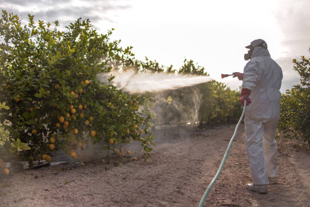 Pest Control Cost in Berwyn, IL
