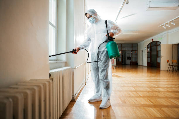 Best Local Pest Control Services  in Berwyn, IL