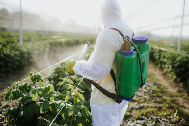 Best Affordable Pest Control Services  in Berwyn, IL